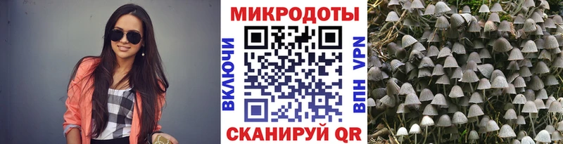 купить наркотики цена  Кирс  Псилоцибиновые грибы MAGIC MUSHROOMS 